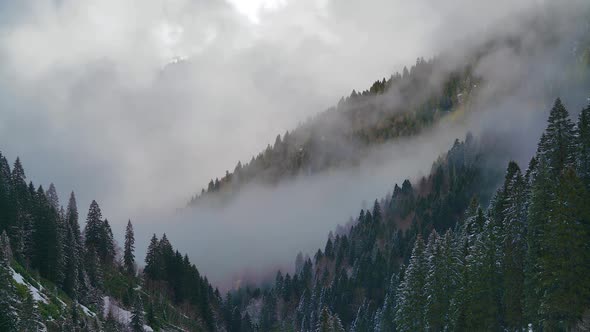 8K Mist in Mystical Snowy Forest Valley