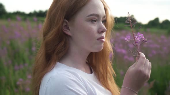 The Girl Picks Up and Carefully Examines a Wildflower in a Summer Meadow alt