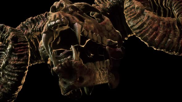 Scary Goat Skull VJ Loop alt