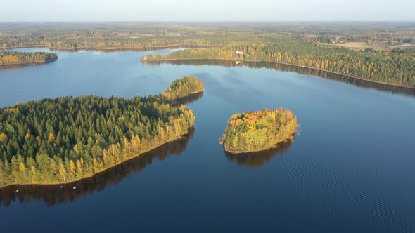 Landscape Aerial View of the Huge Lake Saimaa with the Tall Trees Around
