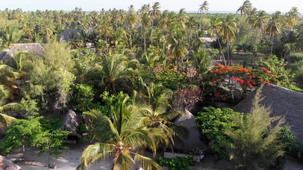 Aerial View African Tropical Beach Resort ThatchedRoof Hotels Pools Zanzibar alt