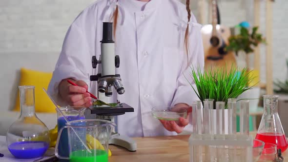 Portrait of Teenage Girl Looking Through a Microscope a School Project Close Up alt