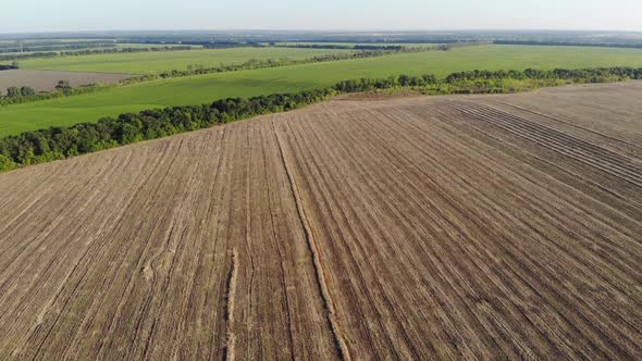Aerial View of a Large Agricultural Field After Harvesting on a Sunny Day alt
