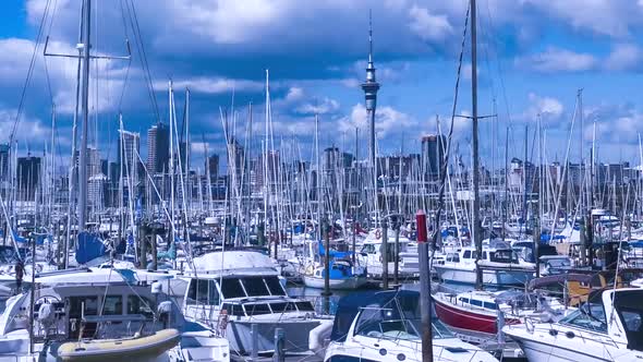 Auckland harbor New Zealand alt