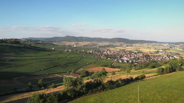 Aerial view of vineyards and green hills in Switzerland alt