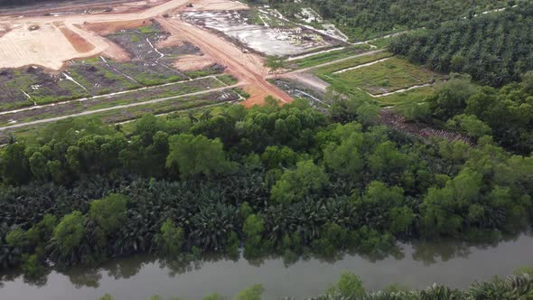 Deforest of land in the rural area alt