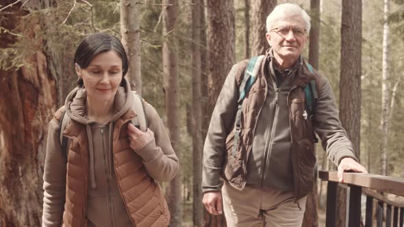 Couple of Tourists Hiking in Forest alt