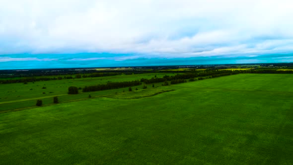 Flying Above The Green Field