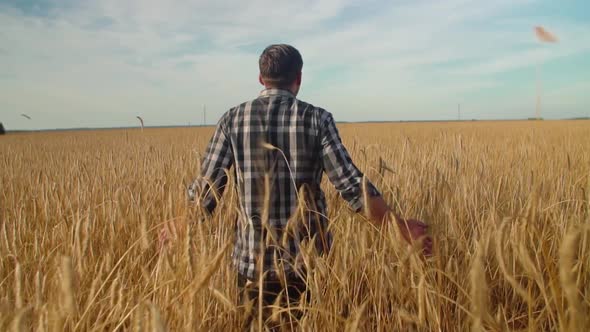 A male farmer walks slowly with his back across a field of wheat.