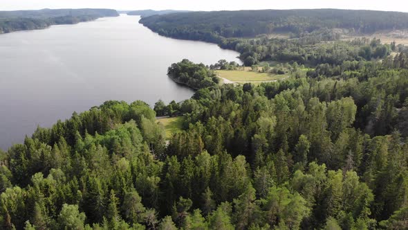Fir Forest Landscape Next to Lake Aerial Ascending
