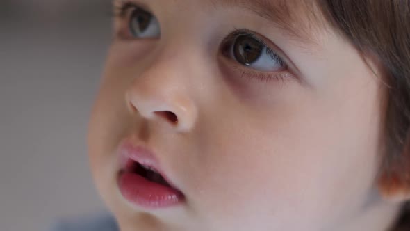 Child a Boy Two Years Looks TV alt