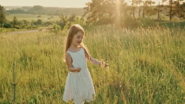 A Cute Girl with Flowing Hair in a White Summer Dress Stands Among the Green Spikelets She Breaks