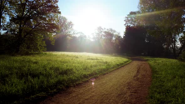 Dirt Path Meadow with Bright Green Grass Morning Dew Trees with Green Leaves alt