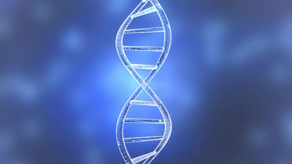 DNA Helix Animation