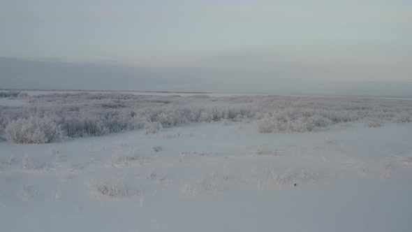 Aerial View of the Endless Tundra