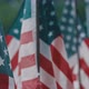 American Flags - VideoHive Item for Sale