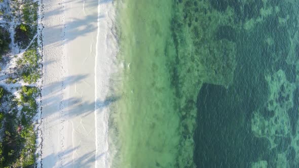 Vertical Video of the Ocean Near the Coast of Zanzibar Tanzania Aerial View alt