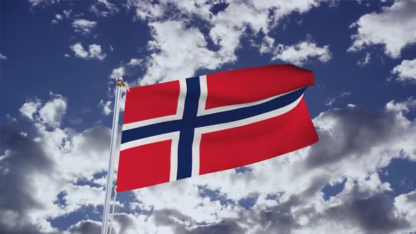 Norway Flag With Sky alt