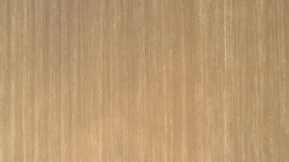 High above furrows in fertile soil 4K aerial footage alt