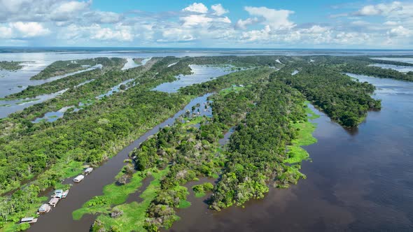 Stunning landscape of Amazon Forest at Amazonas State Brazil. alt