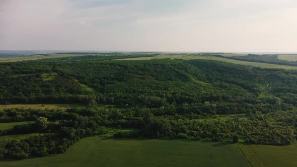 Field and Forest From a Quadrocopter