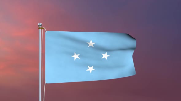 Micronesia Flag alt