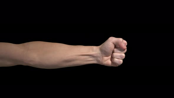 Fist Punch Inside of Arm with transparency