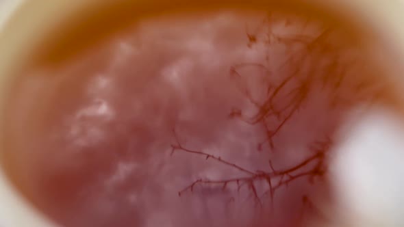 Sky and tree reflection in cup of tea warm drink