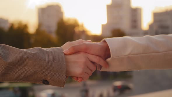 Closeup Businesswomen in Light Jackets Greet on Street with Female Arms Gesture alt