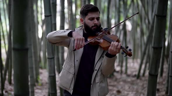 Portrait of a Street Musician Violinist Playing in a Bamboo Grove on a Classical Instrument Violin alt