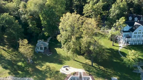 Forest Lake Shore Drone View Flying Over Trees