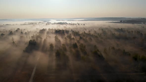 Epic aerial view of sunrise fog covering field with trees. alt