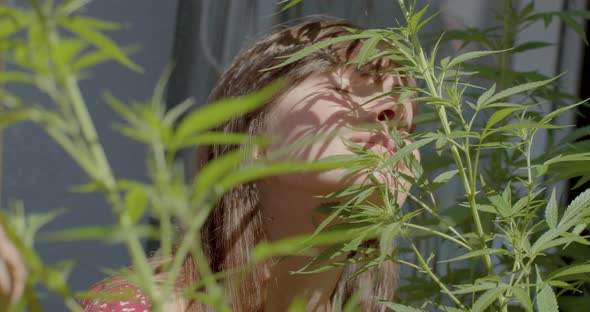 Hippie Girl Sniffing Cannabis Leaves Sun Rubs Nose Against Trunk Enjoying Smell alt