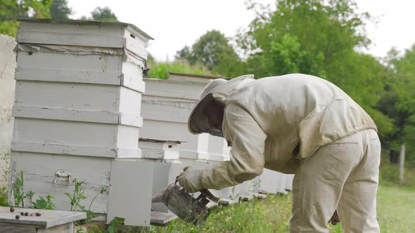 Beekeeping. alt