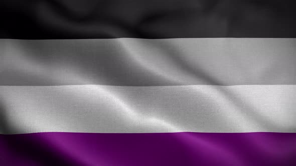 Asexual Pride Flag Loop Background 4K