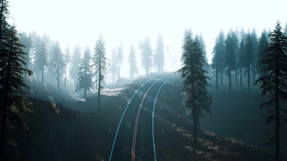 Road Through the Russian Taiga Forest From Aerial View alt