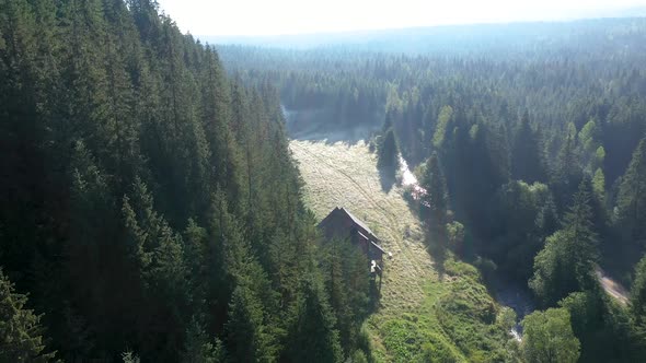 Flying Over a Misty Pinewood Forest and a Lodge in Sunrise Lights alt