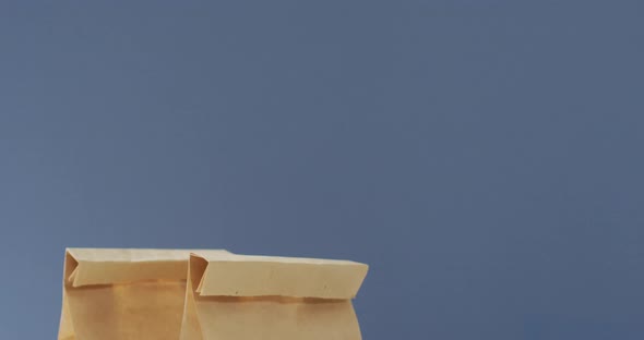 Animation of paper lunch bags on blue background alt