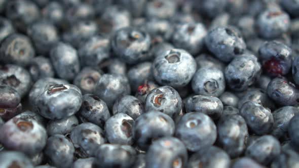A Lot of Blueberries on the Market Close-up. The Camera Moves. Slow Motion. alt