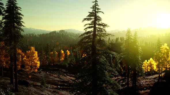 Bright Sunset in the Mountains alt