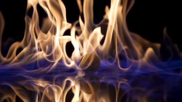 On a Black Background a Flame Ignites and Illuminates a Gold Bitcoin Coin in Close Up alt