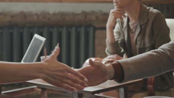 Close-Up of Multi-Ethnic Business Partners Shaking Hands alt