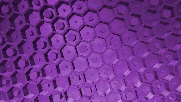lilac business background Boxes Abstract hexagon