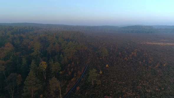 Aerial View of Foggy Bog Early Morning