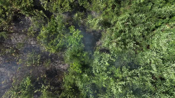 Bush Fire from Above 40 alt