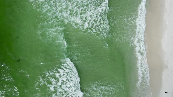 Vertical, Zen Nature Concept - Relaxing Beach Paradise, Aerial Drone Overhead View alt