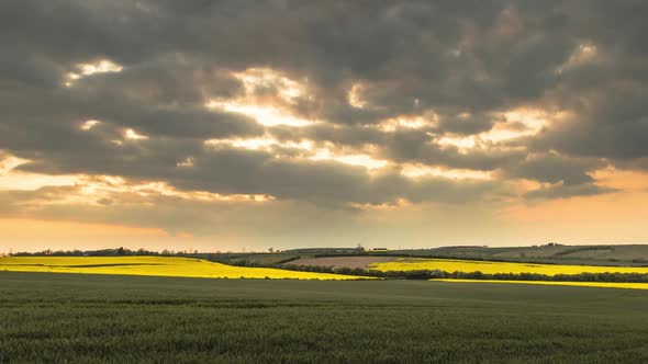 Yellow And Green Fields Time Lapse With Moody Clouds At Sunset