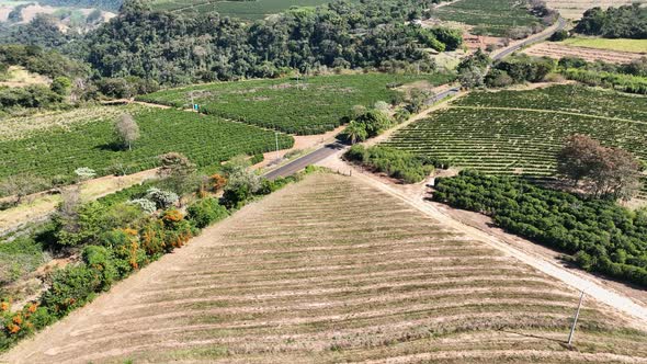 Countryside scenic aerial landscape. Rural life scenery. alt