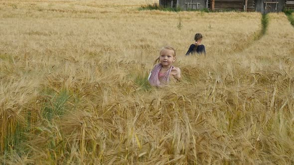 Little Girls Walking Cross The Wheat Field. Happy Kids Playing On Wheat Field