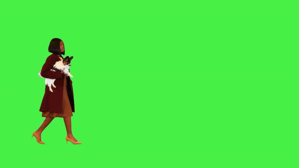 African Lady Walking with Papillon Dog on a Green Screen Chroma Key